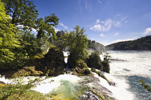 Schweiz, Neuhausen, Blick auf den Rheinwasserfall - MSF02369