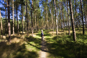 Germany, Mecklenburg-Western Pomerania, Boys cycling in forest - MSF02358