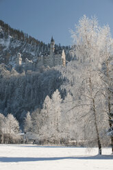 Deutschland, Bayern, Hohenschwangau, Blick auf Schloss Neuschwanstein im Hintergrund - SHF00458