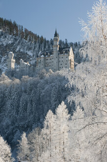 Deutschland, Bayern, Hohenschwangau, Blick auf Schloss Neuschwanstein - SHF00457