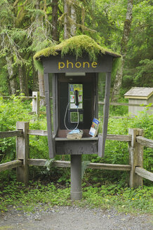 USA, Staat Washington, Olympic National Park, Blick auf eine Telefonzelle im Hoh-Regenwald - RUEF00421