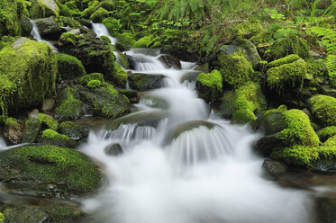 USA, Bundesstaat Washington, Olympic National Park, Blick auf den Sol Duc Fluss - RUEF00420