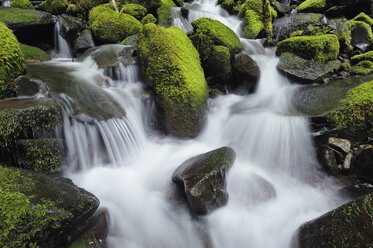 USA, Bundesstaat Washington, Olympic National Park, Blick auf den Sol Duc Fluss - RUEF00419