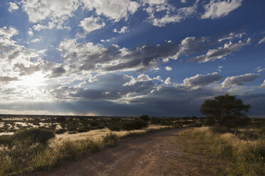 Africa, Botswana, Mabuasehube, Offroad track in the Kalahari - FOF002146