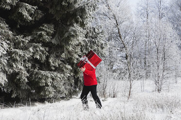 Belgien, Wallonien, Hohes Venn, Mann trägt Weihnachtsgeschenk und geht im Schnee - GWF001174