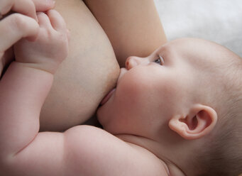 Baby girl (2-5 months) breast feeding, close-up - WWF001506
