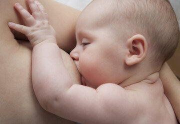 Baby girl (2-5 months) breast feeding, close-up - WWF001507