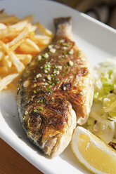 Spain, Mallorca, Garnished grilled gilt-head Bream in plate - NHF001249