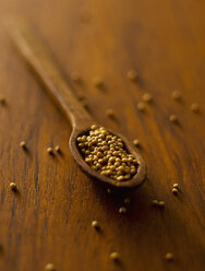 Mustard seeds in wooden spoon, close up - KSWF000561