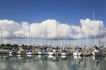 Ozeanien, Neuseeland, Auckland, Nordinsel, Blick auf Bayswater Bootshafen mit Skytower im Hintergrund - GWF001184