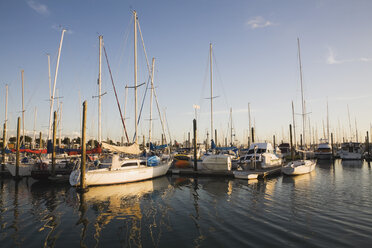 Ozeanien, Neuseeland, Auckland, Nordinsel, Blick auf den Bootshafen Bayswater - GWF001190