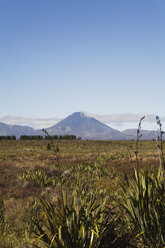 Neuseeland, Nordinsel, Blick auf den Berg Ngauruhoe im Tongariro-Nationalpark - GWF001224