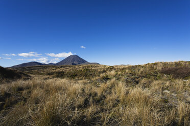 Neuseeland, Nordinsel, Blick auf den Berg Ngauruhoe im Tongariro-Nationalpark - GWF001243