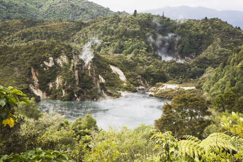 Neuseeland, Nordinsel, Blick auf das vulkanische Waimangu-Tal - GWF001252