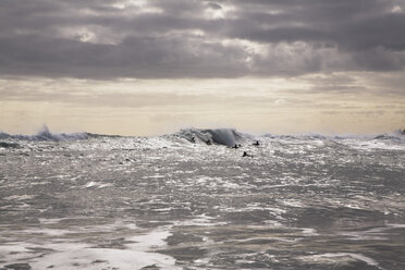 Neuseeland, Nordinsel, Surfer im Tasmanischen Meer am Bethells Beach - GWF001263