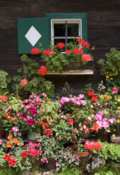 Österreich, Steiermark, Stübing, Hölzernes Bauernhaus mit Blumen - WWF001329