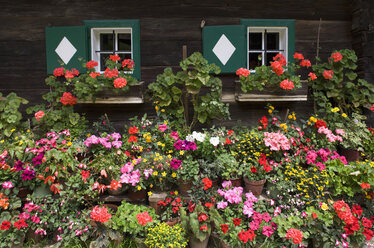 Österreich, Steiermark, Stübing, Hölzernes Bauernhaus mit Blumen - WWF001330