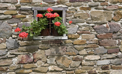 Österreich, Steiermark, Stuebing, Steinhaus mit Geranienblüten - WWF001332