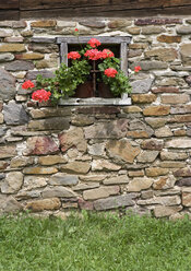 Österreich, Steiermark, Stuebing, Steinhaus mit Geranienblüten - WWF001333