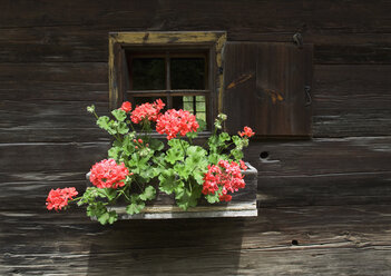 Österreich, Steiermark, Stübing, Hölzernes Bauernhaus mit Blumen - WWF001334