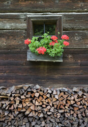 Österreich, Steiermark, Stübing, Hölzernes Bauernhaus mit Blumen - WWF001335