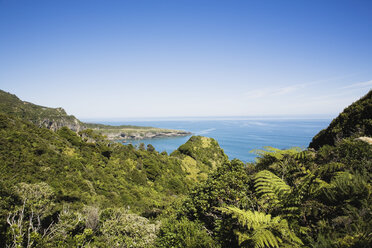 Neuseeland, Südinsel, Westküste, Blick auf Kaipakati Point mit Meer - GWF001294
