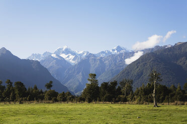 Neuseeland, Südinsel, Westküste, Blick auf den Westland-Nationalpark mit Bergen im Hintergrund - GWF001298