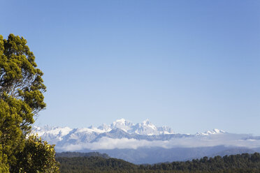 Neuseeland, Südinsel, Westküste, Blick auf den Westland National Park, Tai Poutini National Park mit Bergen im Hintergrund - GWF001317