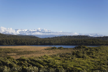 Neuseeland, Südinsel, Westküste, Blick auf den Tai Poutini National Park mit Bergen im Hintergrund - GWF001318