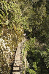 Neuseeland, Südinsel, Frau wandert auf dem Alex Knob Trail - GWF001280