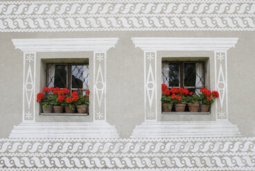 Österreich, Steiermark, Stübing, Blick auf Geranienblüten am Fenster eines Bauernhauses - WWF001339