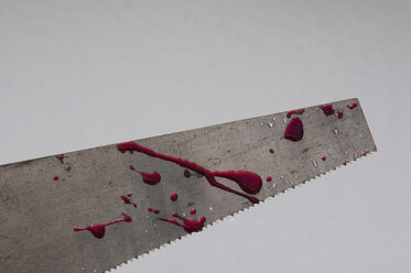 Germany, Close up of saw with blood in snowy winter - AWDF000597