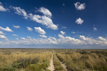Afrika, Botswana, Blick auf das zentrale Kalahari-Wildreservat mit Piste - FOF002209