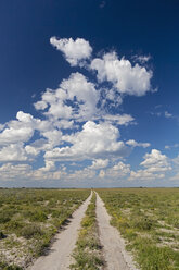 Afrika, Botswana, Blick auf das zentrale Kalahari-Wildreservat mit Piste - FOF002225