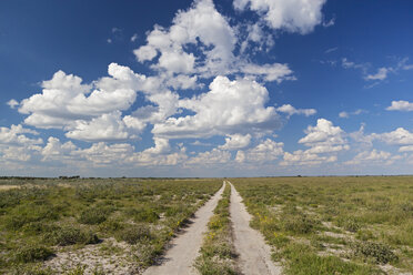 Afrika, Botswana, Blick auf das zentrale Kalahari-Wildreservat mit Piste - FOF002226