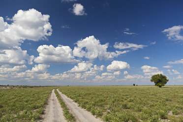 Afrika, Botswana, Blick auf das zentrale Kalahari-Wildreservat mit Piste - FOF002229