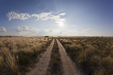 Afrika, Botswana, Blick auf das zentrale Kalahari-Wildreservat mit Piste - FOF002141