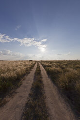 Afrika, Botswana, Blick auf das zentrale Kalahari-Wildreservat mit Piste - FOF002140
