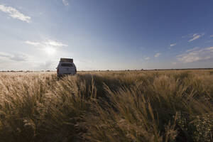 Afrika, Botswana, Landfahrzeug auf der Fahrt durch das zentrale Kalahari-Wildreservat - FOF002138