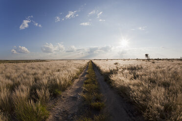 Afrika, Botswana, Blick auf das zentrale Kalahari-Wildreservat mit Piste - FOF002137