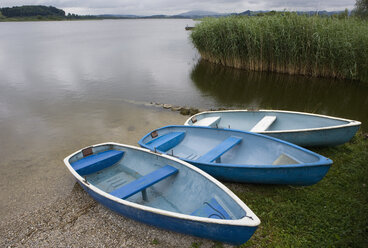 Österreich, Land Salzburg, Wallersee, Blick auf Fischerboote am Ufer - WWF001388