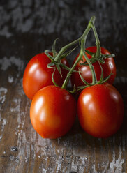 Close up of vine tomatoes - KSWF000602
