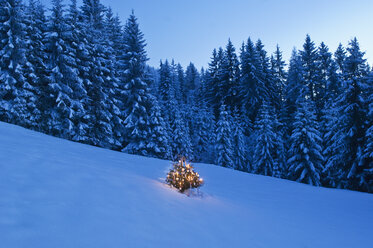 Österreich, Salzburg, Altenmarkt-Zauchensee, Blick auf geschmückten Weihnachtsbaum in verschneiter Landschaft - HHF003387