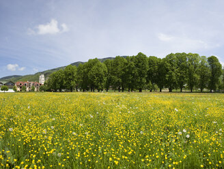Österreich, Salzkammergut, Mondsee, Blick auf Blumen mit Basilika Heiliger Michael im Hintergrund - WWF001427