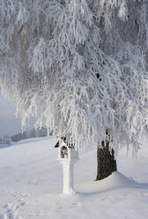 Österreich, Salzkammergut, Mondsee, Blick auf ein Wegkreuz im Winter - WWF001432