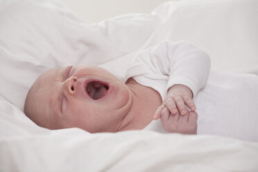 Germany, Munich, (0-1 months) baby boy yawning, close up - RBF000271