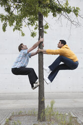Deutschland, Berlin, Zwei Männer klettern auf einen Baum - WESTF015167