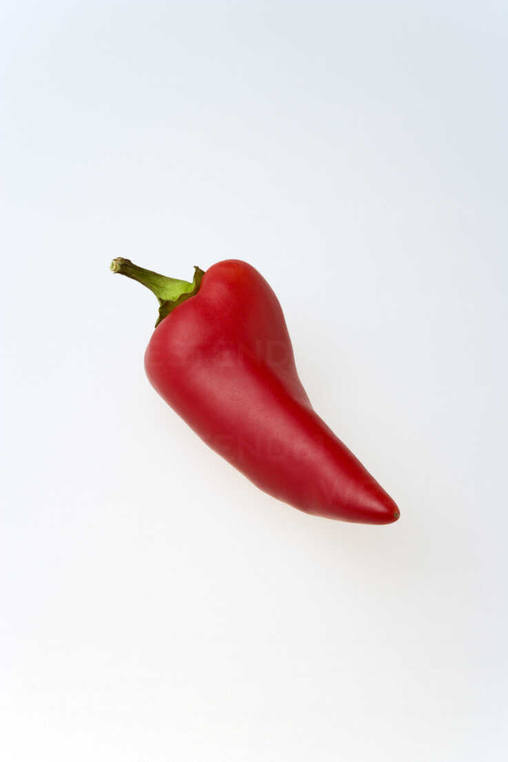 A single red chilli pepper against a white background Stock Photo - Alamy