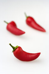 Red chilli peppers on white background - PSF000585