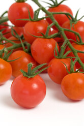 Ripe red cherry tomatoes on white background - PSF000604